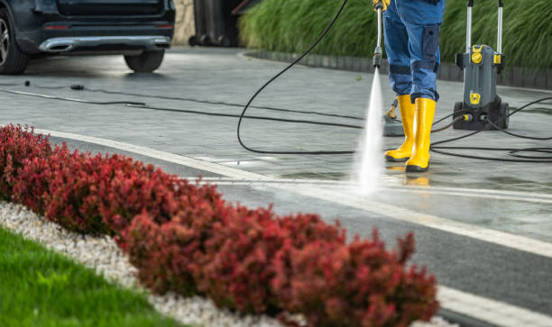 Best Fleet Vehicle Washing  in Sibley, LA